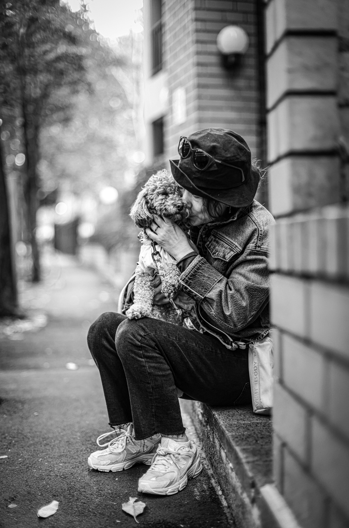 Dog — slot 1.