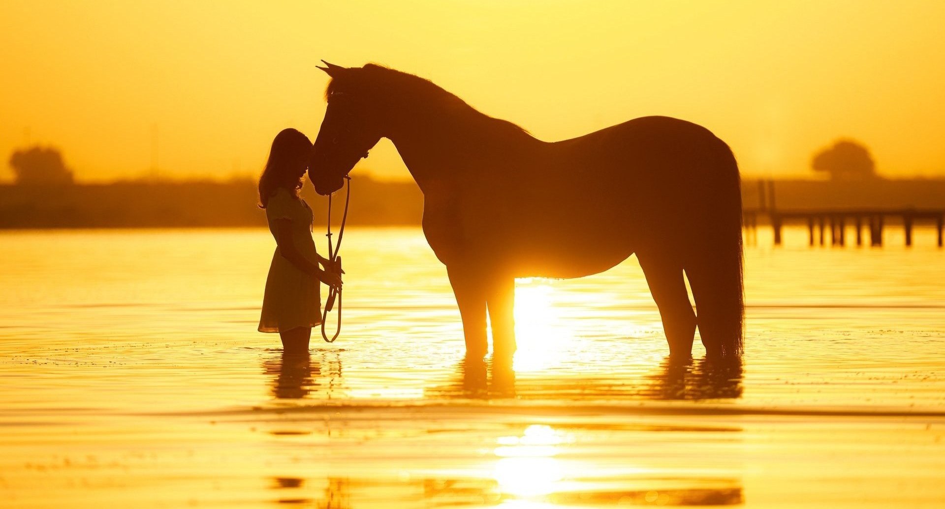 A woman and her horse at golden hour, captured in silhouette against the water.