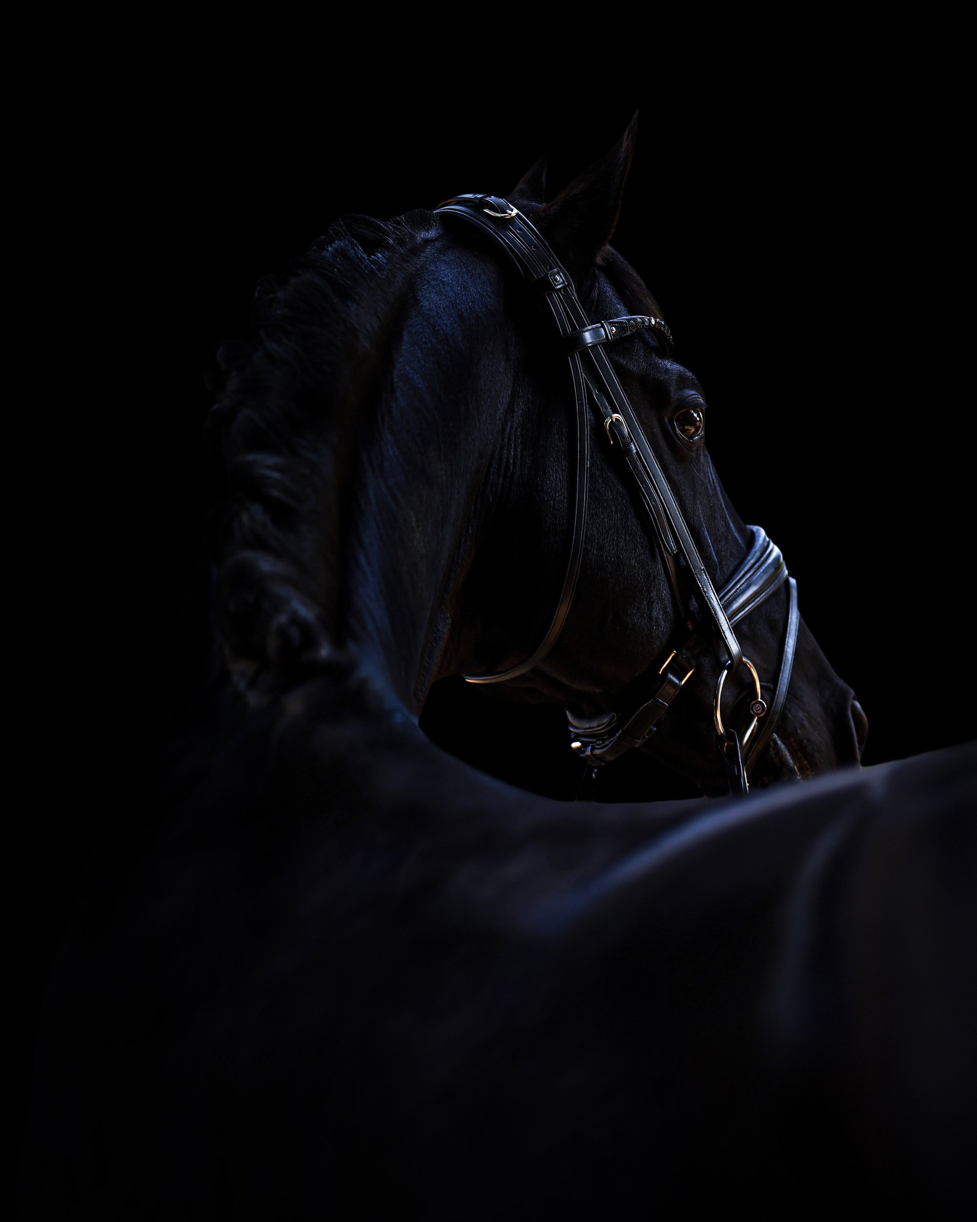 Equine Elegance — slot 2.