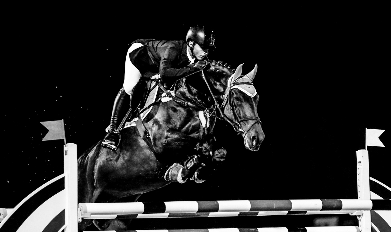 Equestrian sport — frame one.