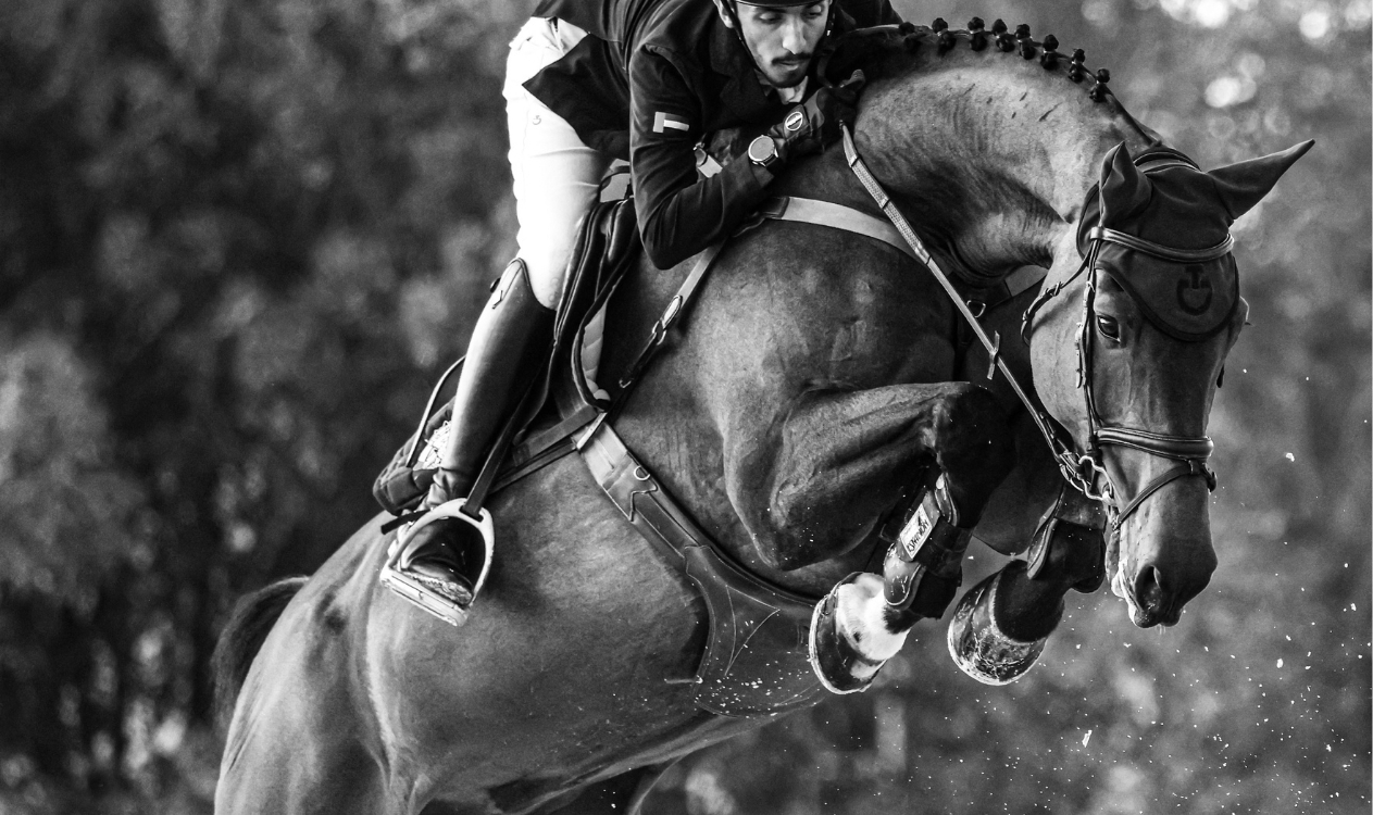 Equestrian sport — frame three.