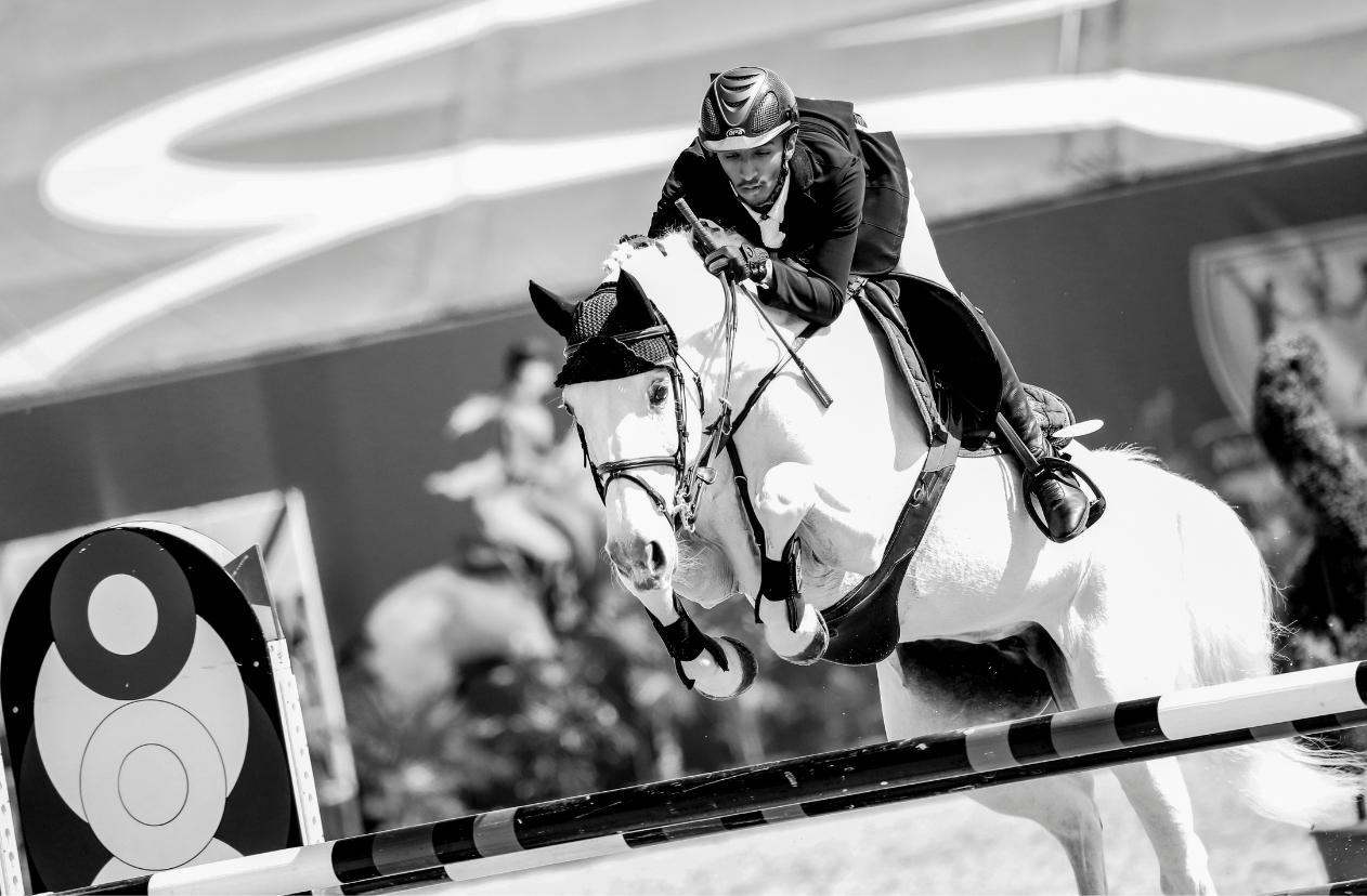 Equestrian sport — frame five.