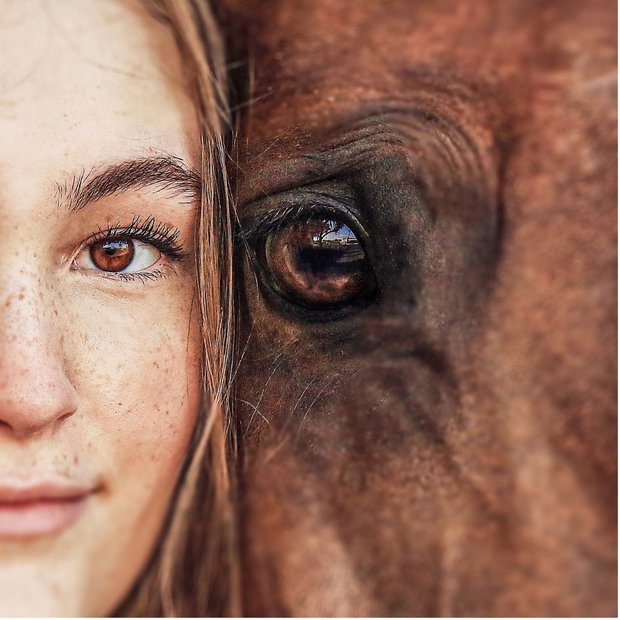 Eye to eye — a freckled face and a chestnut horse.