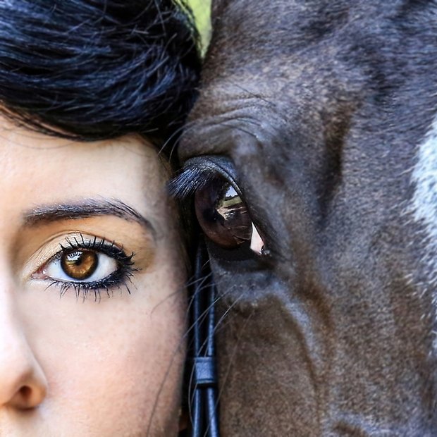 Eye to eye — dark-haired woman and a white horse, halter visible.