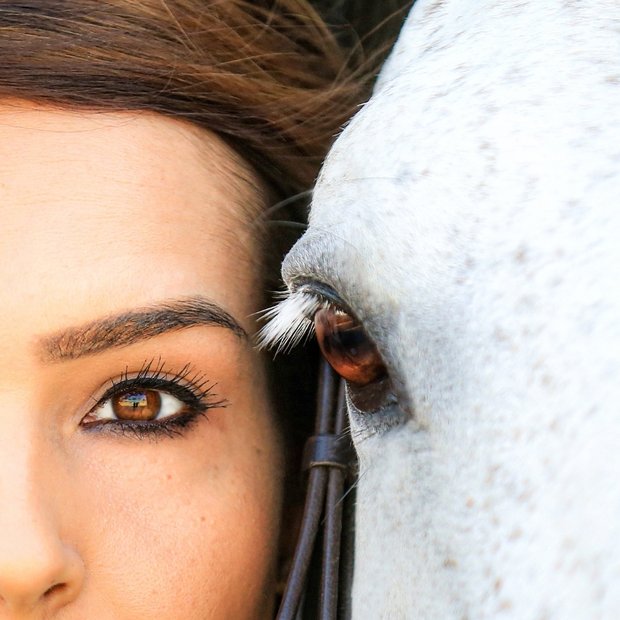 Eye to eye — dappled horse and a blue human eye.