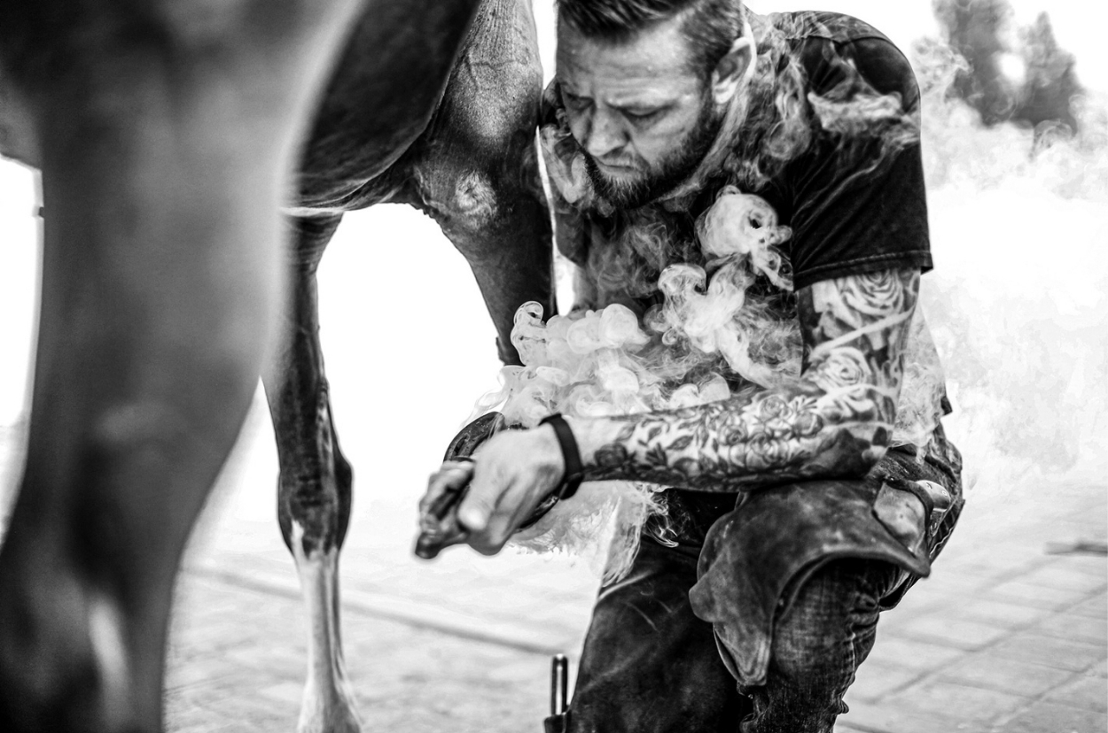 Farrier and dentist work — frame five.