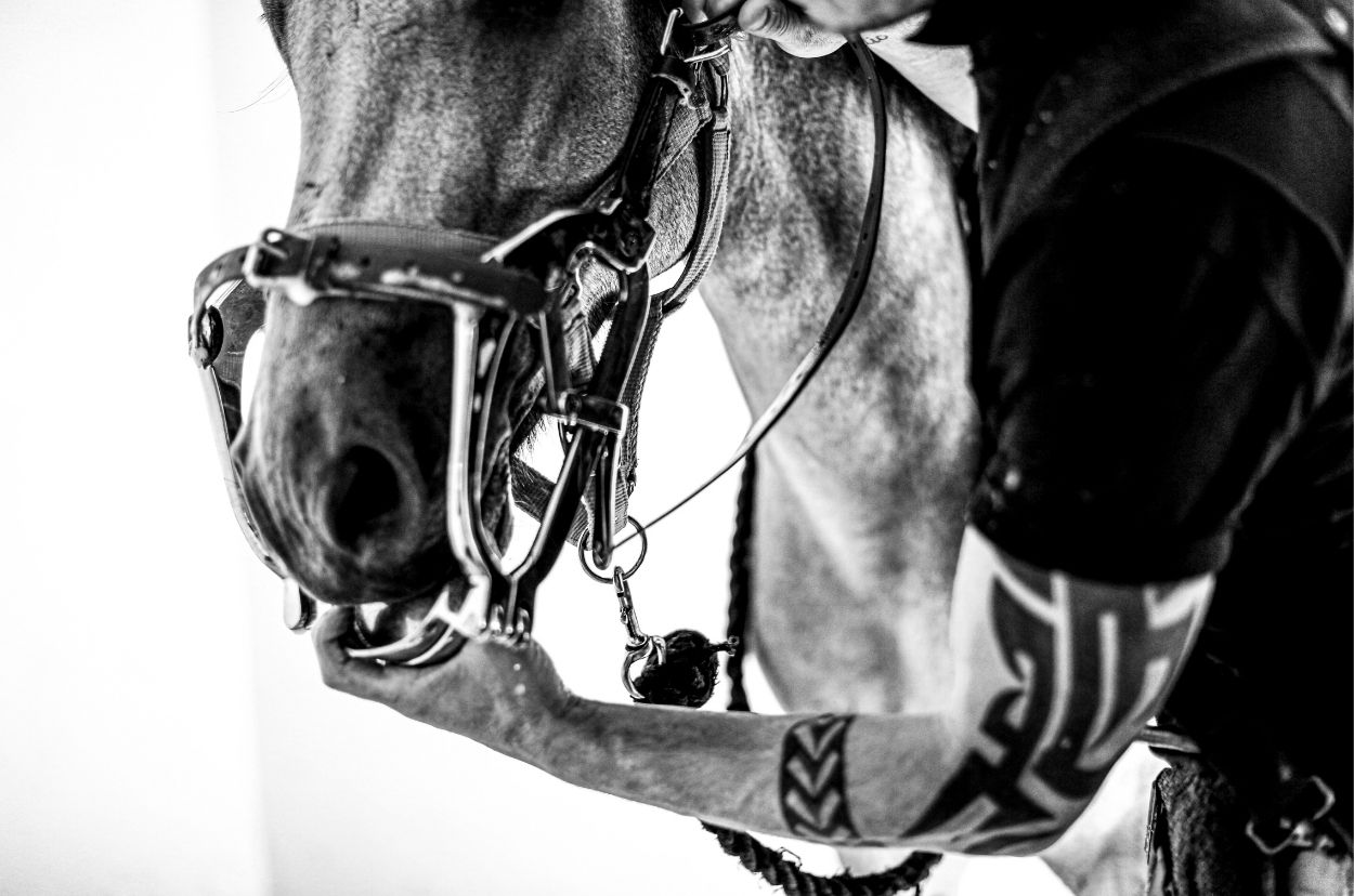 Tattooed man handling a horse's bridle, in black and white.