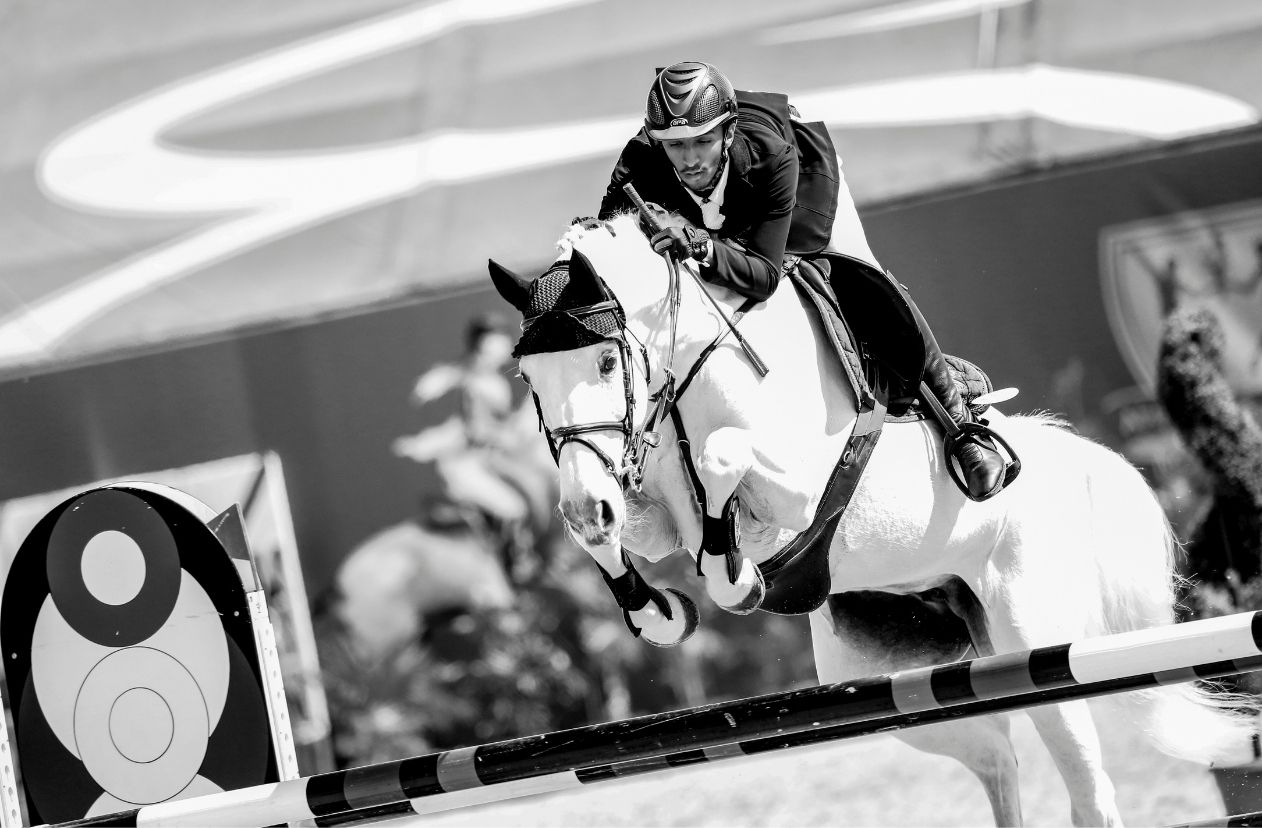 White horse showjumping over a fence.